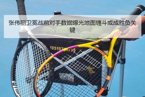 张伟丽卫冕战前对手数据曝光地面缠斗或成胜负关键